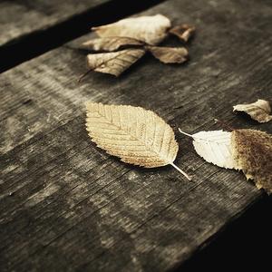 校霸顶撞喘嗯啊H校园腐文视频
